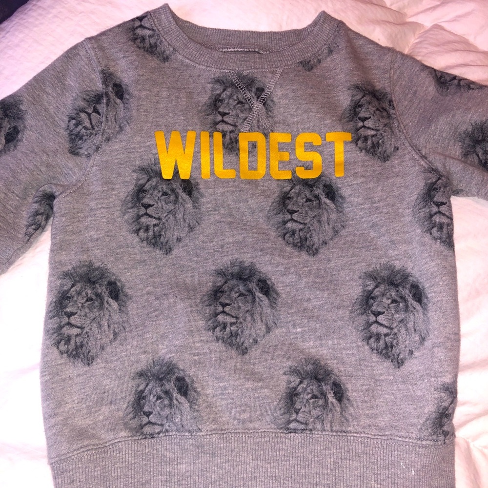 Zara boys sweatshirt size 5